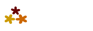 Pleniestudio